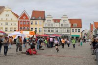 IMG_7536