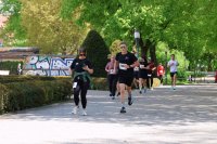 IMG_7051